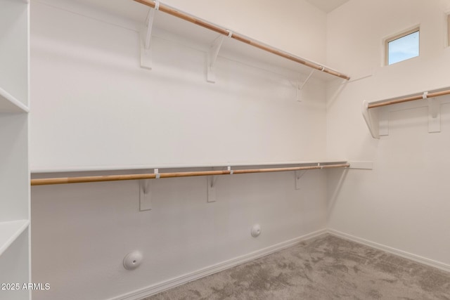 26860 N 102nd Ln, Peoria, AZ 85383 - walk in closet featuring carpet flooring