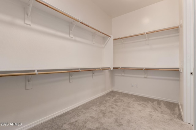 26860 N 102nd Ln, Peoria, AZ 85383 - spacious closet featuring carpet floors