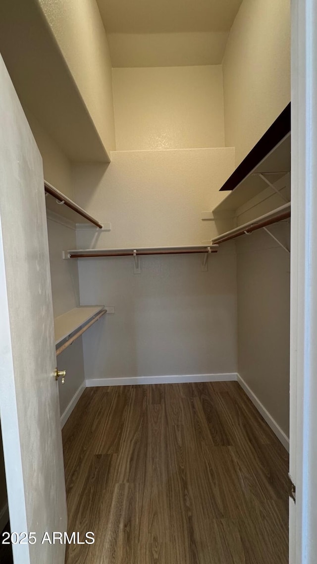 walk in closet featuring dark hardwood / wood-style floors