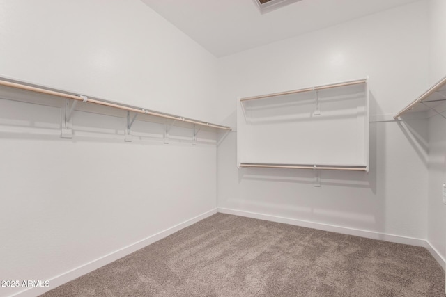 20273 W Monterey Way, Buckeye, AZ 85396 - walk in closet with carpet flooring