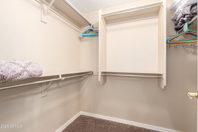 spacious closet featuring carpet