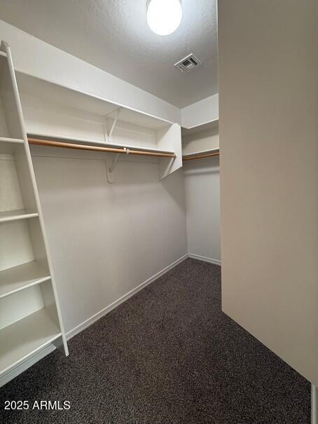 spacious closet featuring dark carpet