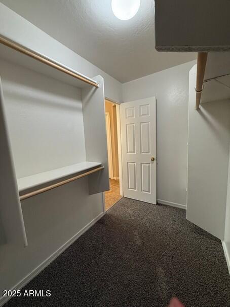 walk in closet with dark carpet