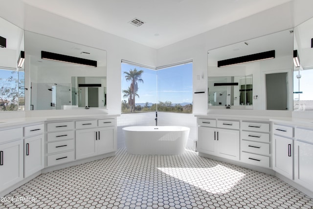 bathroom with separate shower and tub and vanity