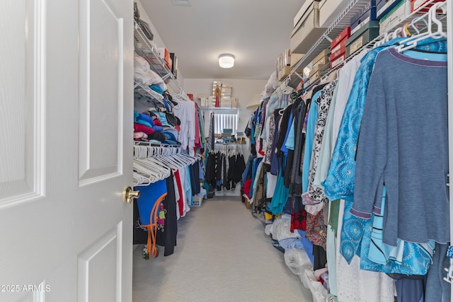 walk in closet featuring carpet floors