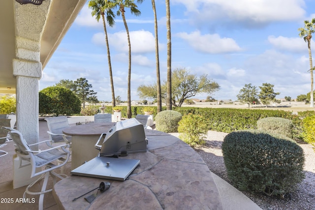 view of patio / terrace featuring grilling area, exterior kitchen, and outdoor dining space