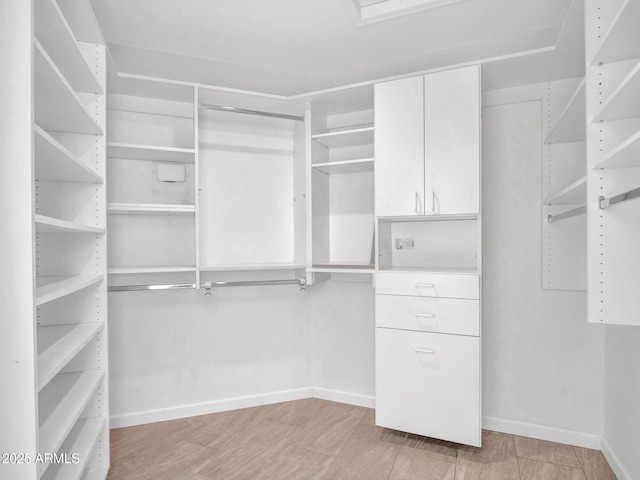15377 W Catalina Ct, Goodyear, AZ 85395 - spacious closet with light wood-style floors