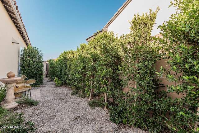 view of yard with a patio