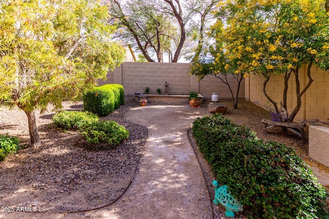 5083 W Buckskin Dr, Eloy, AZ 85131 - view of yard featuring a fenced backyard