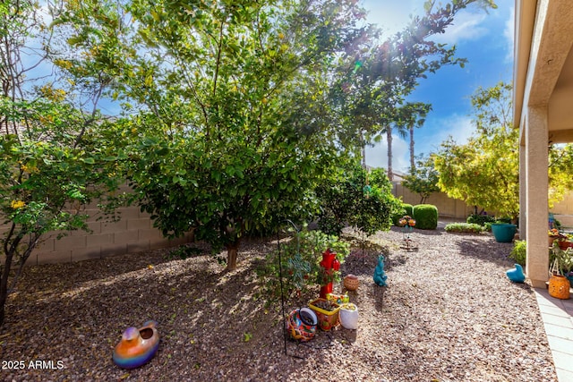 5083 W Buckskin Dr, Eloy, AZ 85131 - view of yard with a fenced backyard
