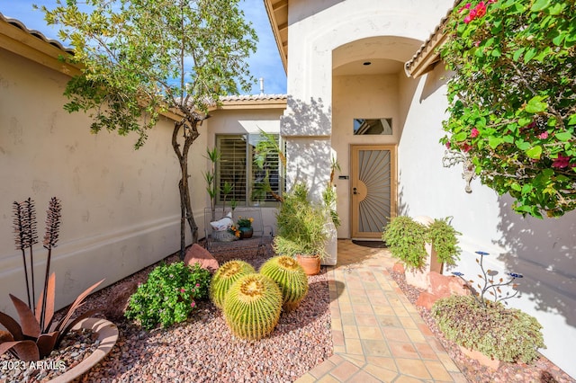 316 W Anderson Ave, Phoenix, AZ 85023 - view of exterior entry featuring stucco siding