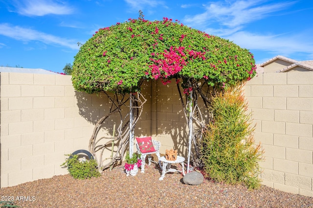 316 W Anderson Ave, Phoenix, AZ 85023 - view of yard