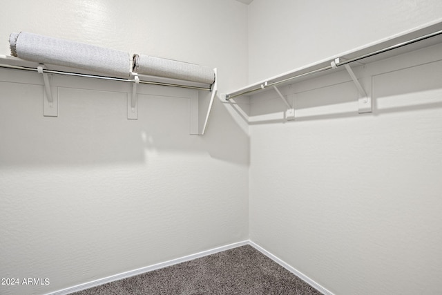 spacious closet with carpet floors