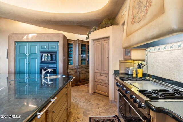 kitchen featuring premium range hood, stainless steel appliances, sink, and backsplash