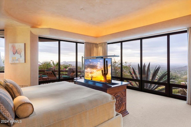 bedroom with a wall of windows and light colored carpet