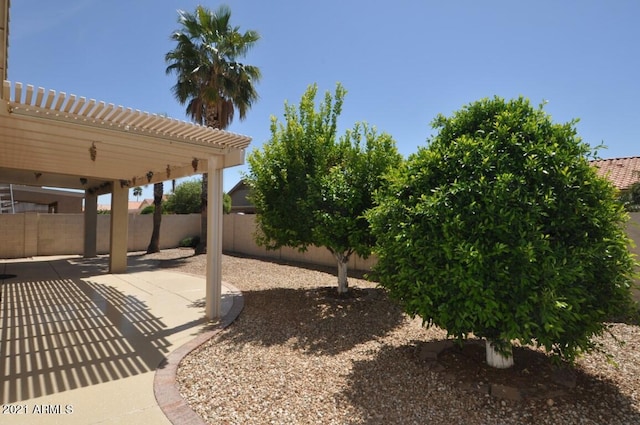 view of yard featuring a pergola and a patio area