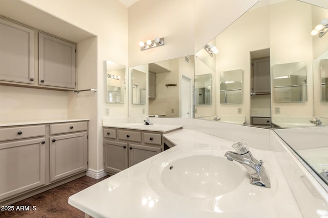 bathroom with wood finished floors and vanity