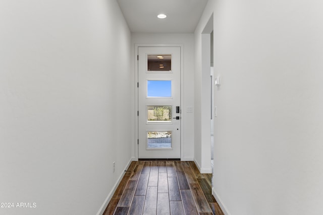 entryway featuring dark hardwood / wood-style flooring