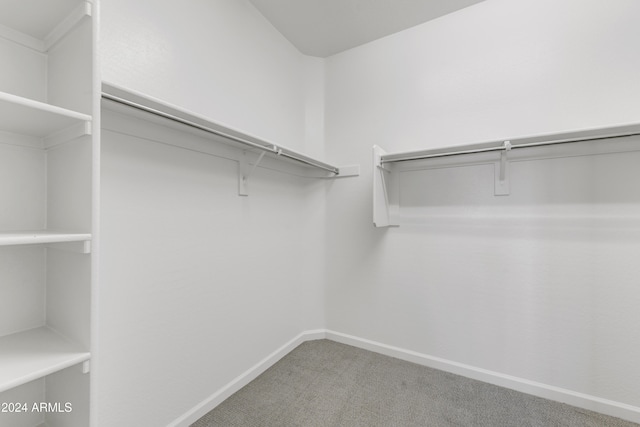 spacious closet featuring carpet floors