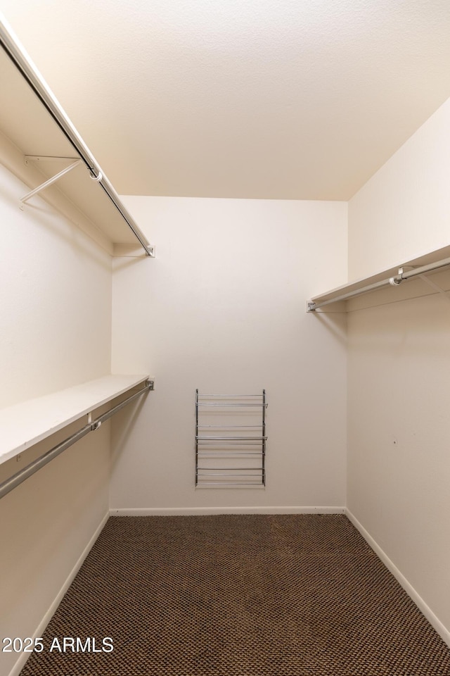 spacious closet with dark colored carpet