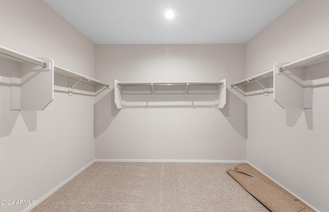 walk in closet featuring carpet