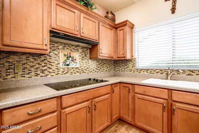 kitchen featuring tasteful backsplash, a sink, under cabinet range hood, and black electric cooktop