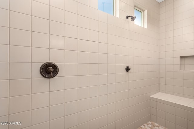 4149 N Brigadier Dr, Florence, AZ 85132 - bathroom with tiled shower