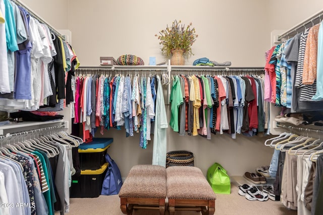 4149 N Brigadier Dr, Florence, AZ 85132 - spacious closet with carpet flooring