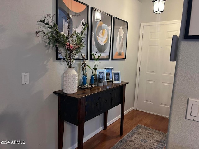 interior space with dark hardwood / wood-style floors