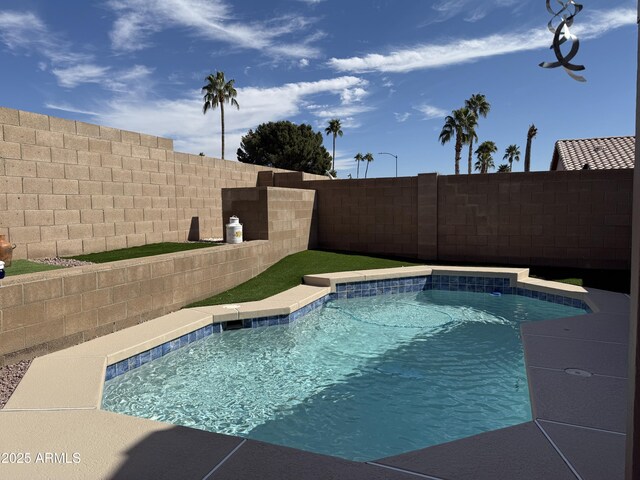 view of swimming pool with a fenced backyard and a fenced in pool