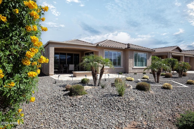 26421 W Zachary Dr, Buckeye, AZ 85396 - back of property featuring a tiled roof, a patio, and stucco siding