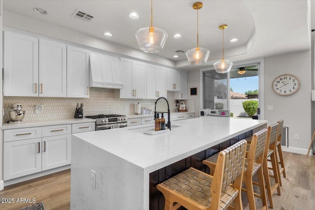 2466 E Harrison Ct, Gilbert, AZ 85295 - kitchen featuring a sink, premium range hood, stainless steel range with gas cooktop, light wood finished floors, and recessed lighting