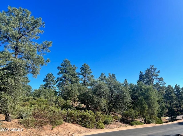 2001 E Feather Plume Ln Unit 533, Payson AZ, 85541 land for sale