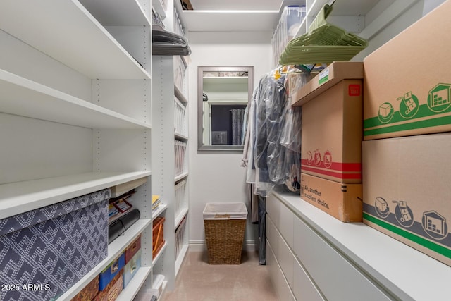 view of spacious closet