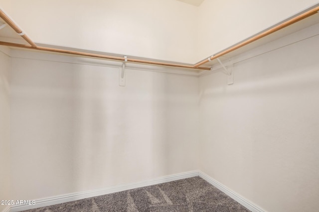 spacious closet featuring carpet