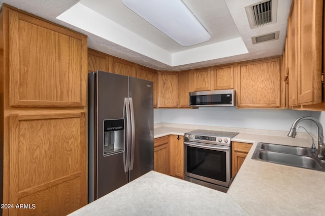 2154 E Forge Ave, Mesa, AZ 85204 - kitchen with appliances with stainless steel finishes, a sink, a tray ceiling, and light countertops