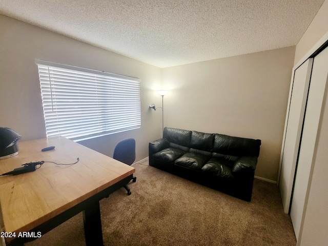 carpeted office featuring a textured ceiling and plenty of natural light