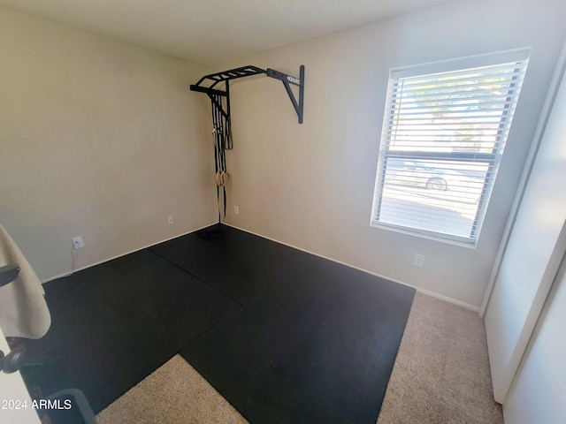 workout area featuring carpet