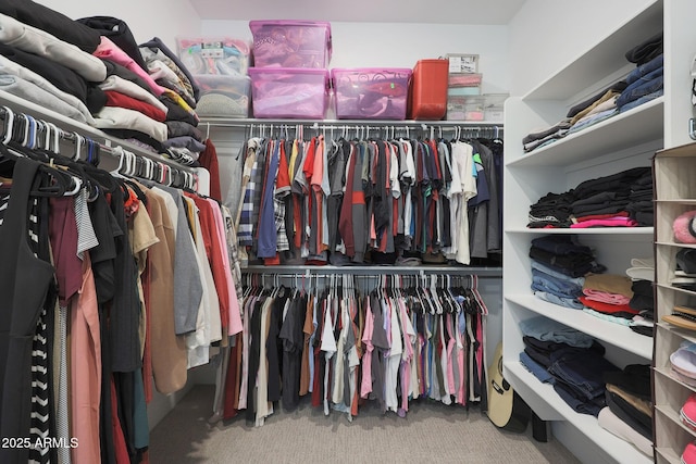 spacious closet with light carpet