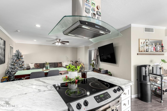 kitchen featuring hardwood / wood-style floors, island range hood, crown molding, and stainless steel range with electric cooktop