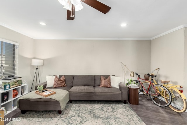 living room featuring hardwood / wood-style flooring, ceiling fan, and crown molding