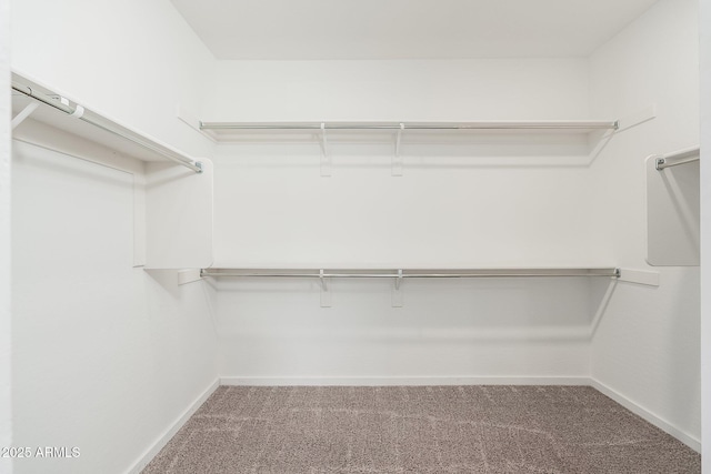 17652 W Fetlock Trl, Surprise, AZ 85387 - walk in closet with carpet