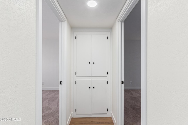 hallway with carpet floors