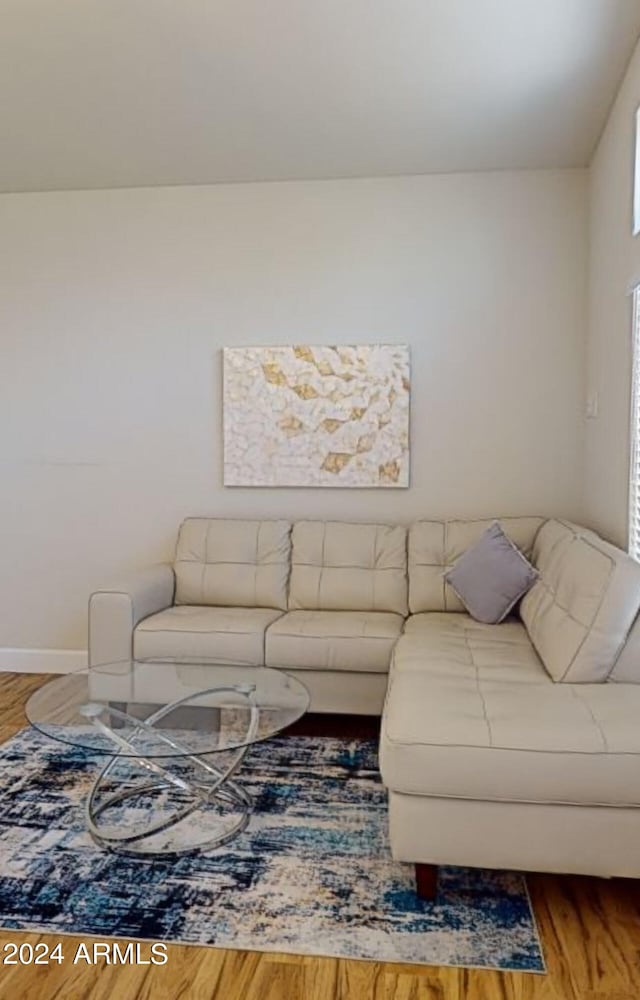 living room with wood-type flooring