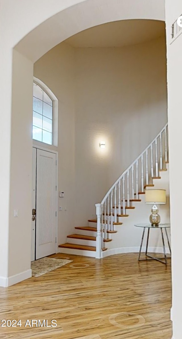 foyer with a towering ceiling and wood-type flooring