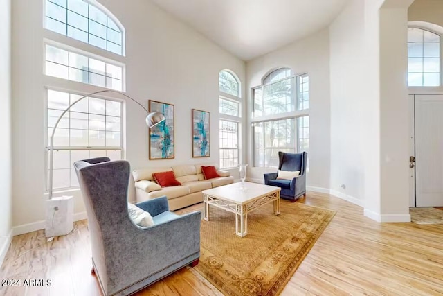 living room with hardwood / wood-style flooring and a healthy amount of sunlight