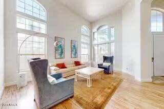 living room with light hardwood / wood-style floors and high vaulted ceiling