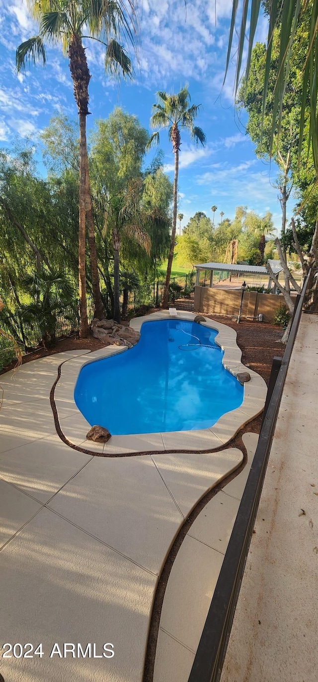 view of swimming pool featuring a patio