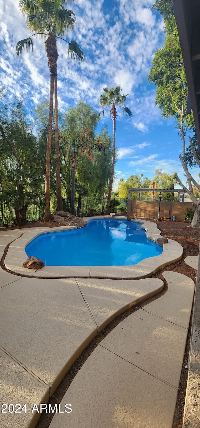 view of pool featuring a patio