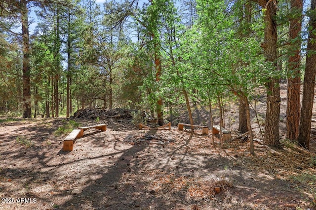 197 S Hiscox Ln, Payson, AZ 85541 - view of yard